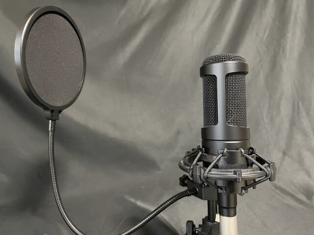 新人の歌手オーディションで将来性が見られる理由